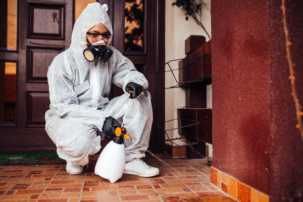 Attic and Crawl Space Rodent Treatment in Rome